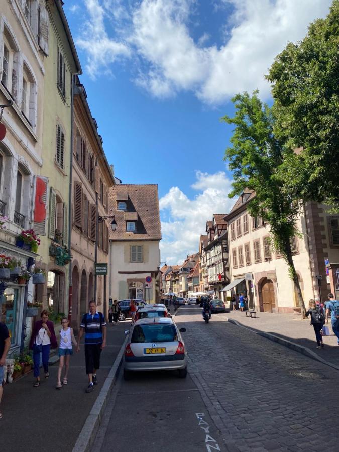 Hello Colmar Luxury Petite Venise 7 Pers Parking Velos Lägenhet Exteriör bild
